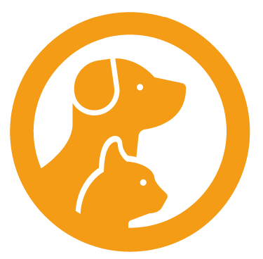 Image Title My Image